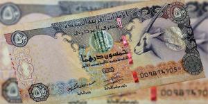 الدرهم الإماراتي يسجل 13.54 جنيه للبيع في البنك المركزي مساء اليوم - المدينة برس