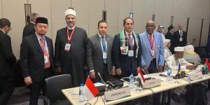 عمرو الورداني: مصر ترفض محاولات التهجير والتصفية وتدعم حقوق الشعب الفلسطيني - المدينة برس