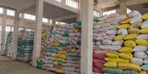 محافظ البحيرة: تزايد في معدلات توريد القمح والكميات المستلمة تتجاوز 410 آلاف طن - المدينة برس
