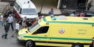 خلافات قديمة تنهي حياة شاب وتصيب آخر في مشاجرة بالدقهلية - المدينة برس