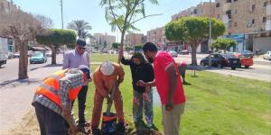 لإعادة المظهر الحضاري، خطة موسعة لزيادة الرقعة الخضراء بنطاق محافظة الإسماعيلية - المدينة برس