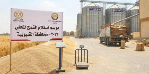 تموين القليوبية: توريد أكثر من 93.5 ألف طن قمح - المدينة برس
