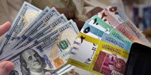 سعر الجنيه السوداني مقابل الدولار في بنك السودان المركزي - المدينة برس