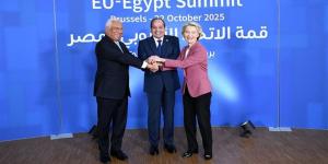 بعد ثورة 30 يونيو.. السيسي يقود تحول العلاقات المصرية الأوروبية إلى شراكة استراتيجية شاملة.. الأمن الإقليمي واستقرار الشرق الأوسط والهجرة غير الشرعية والطاقة والاستثمار أبرز الملفات - المدينة برس