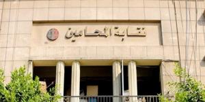 انطلاق مبادرة شاملة للمحامين وأسرهم بالتعاون مع "صحة القاهرة" غدًا - المدينة برس