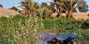 توقعات طقس اليوم السبت بالمغرب - بوابة المدينة برس