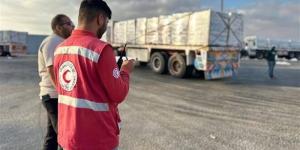 4 آلاف طن مساعدات في طريقها لغزة ضمن قافلة «زاد العزة 222» - المدينة برس