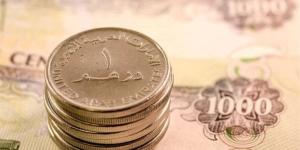 سعر الدرهم الإماراتي أمام الجنيه في البنك الأهلي اليوم الأحد 28- 6- 2026 - المدينة برس