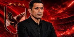الأهلي يحدد تسعيرة المهاجم الأجنبي الجديد، تفاصيل - المدينة برس