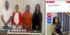 سقوط شبكة تضم أجانب لإدارة صفحة لاستقطاب راغبي المتعة في الشيخ زايد - المدينة برس