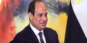 السيسي للسفراء الجدد: نحرص على تطوير التعاون وترسيخ العلاقات في مختلف المجالات - المدينة برس