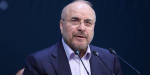 رئيس البرلمان الإيراني: نحتاج اليوم إلى الوحدة والالتفاف حول المرشد - المدينة برس