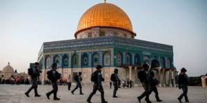 اللجنة الملكية لشئون القدس تحذر: 542 مستوطنة وبؤرة استيطانية تهدد الوجود الفلسطينى - المدينة برس
