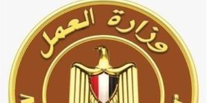 الحكومة تحذر من صفحات وحسابات وهمية تروج لمعلومات مغلوطة بشأن منحة العمالة غير المنتظمة - المدينة برس