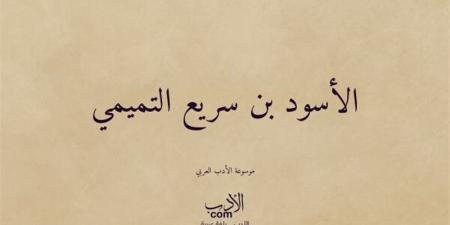 صحابة منسيون، الأسود بن سريع التميمي السعدي "حمّاد ربه" - المدينة برس