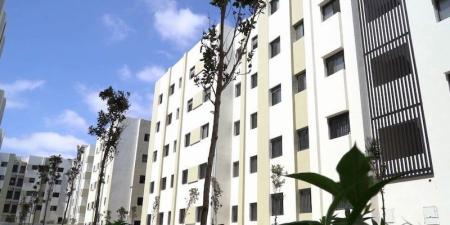 الشنقيطي يوضح برنامج إعادة الإيواء - بوابة المدينة برس