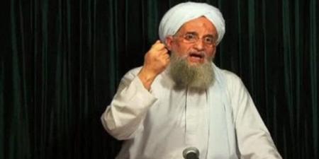 نبيل نعيم: الظواهري اتصل بي لوقف الهجوم على الإخوان ورفضت طلبه - المدينة برس