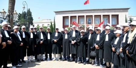 بالتزامن مع المناقشة البرلمانية .. المحامون يرفضون مشروع قانون المهنة - بوابة المدينة برس