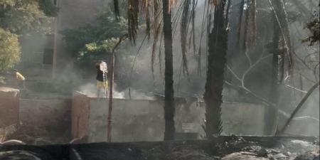 السيطرة على حريق داخل مقابر بهتيم بشبرا الخيمة (صور) - المدينة برس