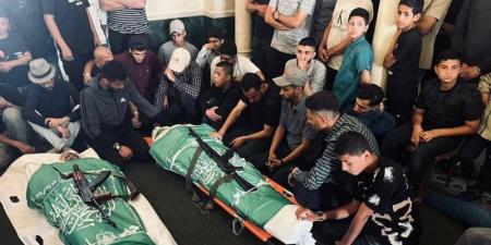 شهيد بنيران قوات الاحتلال شرقي مدينة دير البلح وسط قطاع غزة - المدينة برس