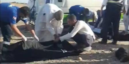 حادث المنيا أنهى حياة ثلاثة أجيال من أسرة واحدة في لحظات - المدينة برس