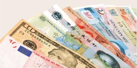 الريال السعودي بـ 13.09 جنيه، أسعار العملات الأجنبية والعربية في البنك الأهلي - المدينة برس