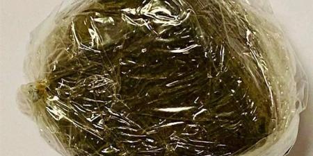 جمارك مطار الغردقة تحبط محاولة تهريب كمية من مخدر الحشيش مع راكب دنماركي - المدينة برس