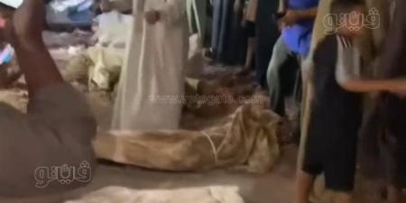 فيديو متداول يثير الجدل في الشرقية، استغاثات من الأهالي بسبب هدم مقابر بمركز ديرب نجم - المدينة برس