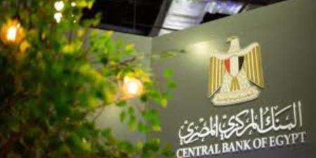 البنك المركزي: أكبر 5 بنوك تستحوذ على 71.8% من صافي أرباح القطاع بنهاية الربع الأول من 2026 - بوابة المدينة برس
