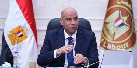 وزير العمل: شركات إلحاق العمالة شريك استراتيجي لتوفير وظائف آمنة ولائقة للمصريين - المدينة برس