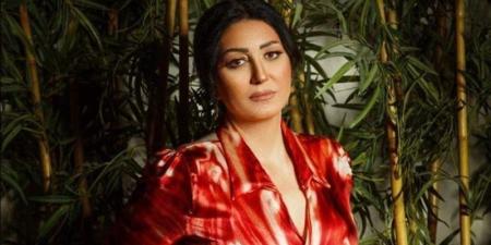 بعد قليل، محاكمة 3 متهمين بسب وقذف الفنانة وفاء عامر عبر وسائل التواصل - المدينة برس