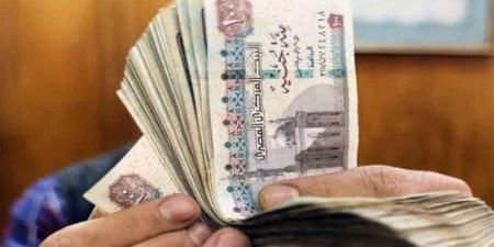 موعد صرف مرتبات شهر يوليو 2026 بالزيادة الجديدة - المدينة برس