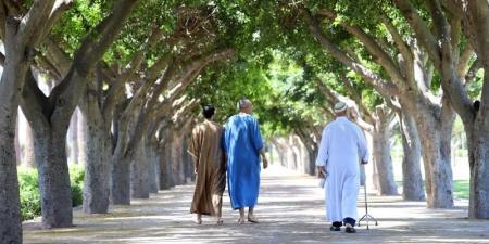 شبح الشيخوخة يهدد المغرب.. ربع السكان فوق 60 سنة بحلول 2060 - بوابة المدينة برس