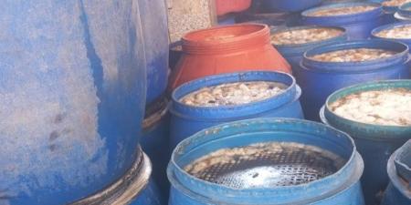 شئون البيئة بالشرقية: تحرير 100 محضر خلال حملات تفتيشية على المنشآت الغذائية - المدينة برس