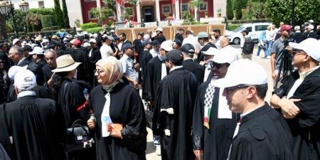 المحامون يتمسكون بالتصعيد رغم إحالة قانون المهنة على المحكمة الدستورية - بوابة المدينة برس
