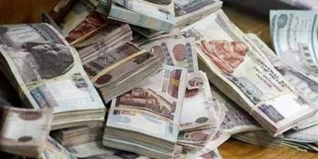 ضبط 6 ملايين جنيه حصيلة الاتجار في النقد الأجنبي - المدينة برس