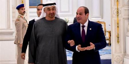 بن زايد لـ السيسي: العلاقات الأخوية والتاريخية تجمع قيادتي وشعبي البلدين - المدينة برس