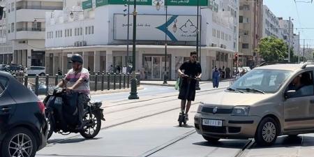 تقنين "التروتينيت" في المغرب - بوابة المدينة برس