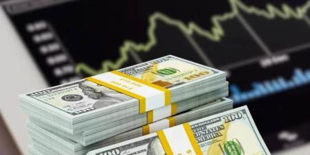 قفزة تاريخية لاحتياطي النقد الأجنبي.. ما دلالات وصول احتياطي مصر إلى أعلى مستوى على الإطلاق؟ - بوابة المدينة برس