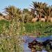 توقعات طقس اليوم السبت بالمغرب - بوابة المدينة برس