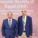 تفاصيل مؤتمر الجمعية المصرية لعلوم وجراحات الأوعية الدموية بمشاركة عميد قصر العيني - المدينة برس