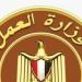ثورة 30 يونيو تعيد رسم خريطة سوق العمل.. انخفاض نسبة البطالة إلى 6%.. التوسع في المشروعات التنموية والصناعية وتوفير وظائف في الخارج.. وإطلاق استراتيجية وطنية للتشغيل حتى 2030 - المدينة برس