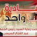 الداخلية: تخفيضات تصل لـ50% بمبادرة "كلنا واحد" احتفالًا بذكرى ثورة 30 يونيو - المدينة برس