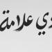 رامي جمال يطرح أولى أغاني ألبومه غدا - المدينة برس