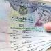سعر الدرهم الإماراتي مقابل الجنيه في البنك المركزي المصري - المدينة برس