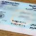 خدمات وزارة الداخلية 2026، تجديد رخصة السيارة في مصر.. المستندات والخطوات المطلوبة لإتمام الإجراءات - المدينة برس