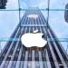 «آبل» تعيد تفعيل الدفع بالبطاقات على App Store وiCloud في الهند بعد توقف 5 سنوات - بوابة المدينة برس