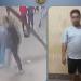 أب قلبه ميت، الأمن يكشف كواليس فيديو إلقاء كهربائى لنجله الصغير بطريقه وحشية في البدرشين - المدينة برس