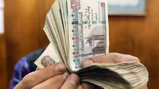 أعلى شهادات الادخار في البنوك المصرية بعد رفع الفائدة.. عوائد تصل إلى 22%