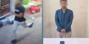 ضبط عاطل خطف هاتفا محمولا من سيدة أثناء سيرها فى الشارع بالبحيرة (فيديو) - المدينة برس